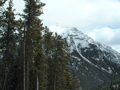 Norquay 2.JPG